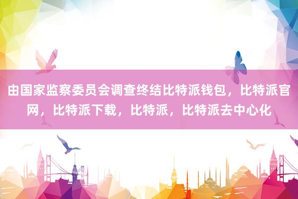 由国家监察委员会调查终结比特派钱包，比特派官网，比特派下载，比特派，比特派去中心化