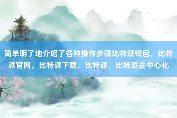 简单明了地介绍了各种操作步骤比特派钱包，比特派官网，比特派下载，比特派，比特派去中心化