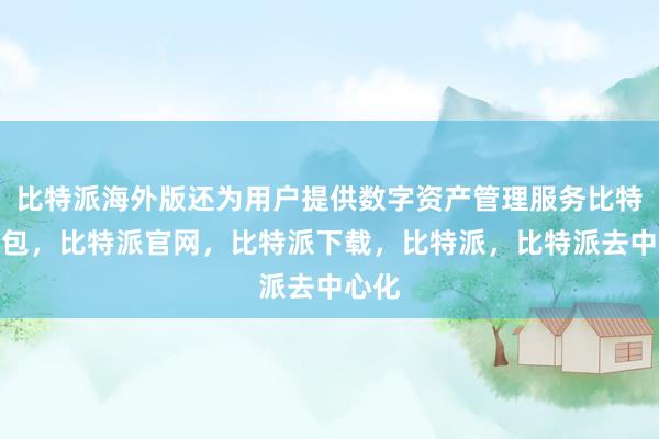 比特派海外版还为用户提供数字资产管理服务比特派钱包，比特派官网，比特派下载，比特派，比特派去中心化