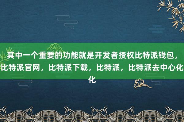 其中一个重要的功能就是开发者授权比特派钱包，比特派官网，比特派下载，比特派，比特派去中心化