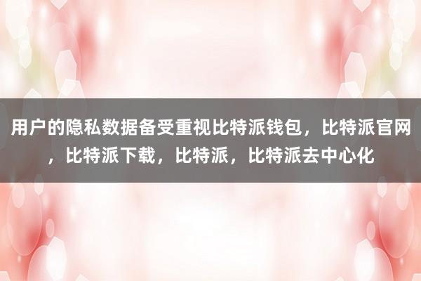 用户的隐私数据备受重视比特派钱包，比特派官网，比特派下载，比特派，比特派去中心化