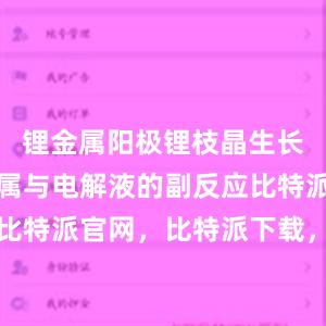 锂金属阳极锂枝晶生长以及锂金属与电解液的副反应比特派钱包，比特派官网，比特派下载，比特派，比特派去中心化