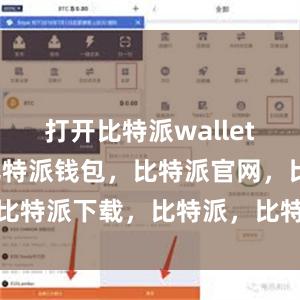 打开比特派wallet应用程序比特派钱包，比特派官网，比特派下载，比特派，比特派去中心化