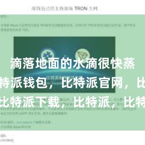 滴落地面的水滴很快蒸发殆尽比特派钱包，比特派官网，比特派下载，比特派，比特派去中心化