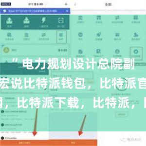 ”电力规划设计总院副院长姜士宏说比特派钱包，比特派官网，比特派下载，比特派，比特派去中心化